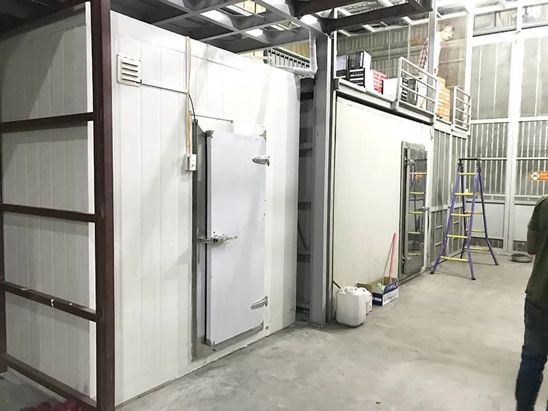 Thiết kế và thi công kho lạnh chuyên nghiệp cùng Điện Lạnh Miền Nam