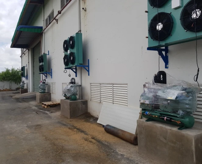 Thiết kế và thi công kho lạnh chuyên nghiệp cùng Điện Lạnh Miền Nam