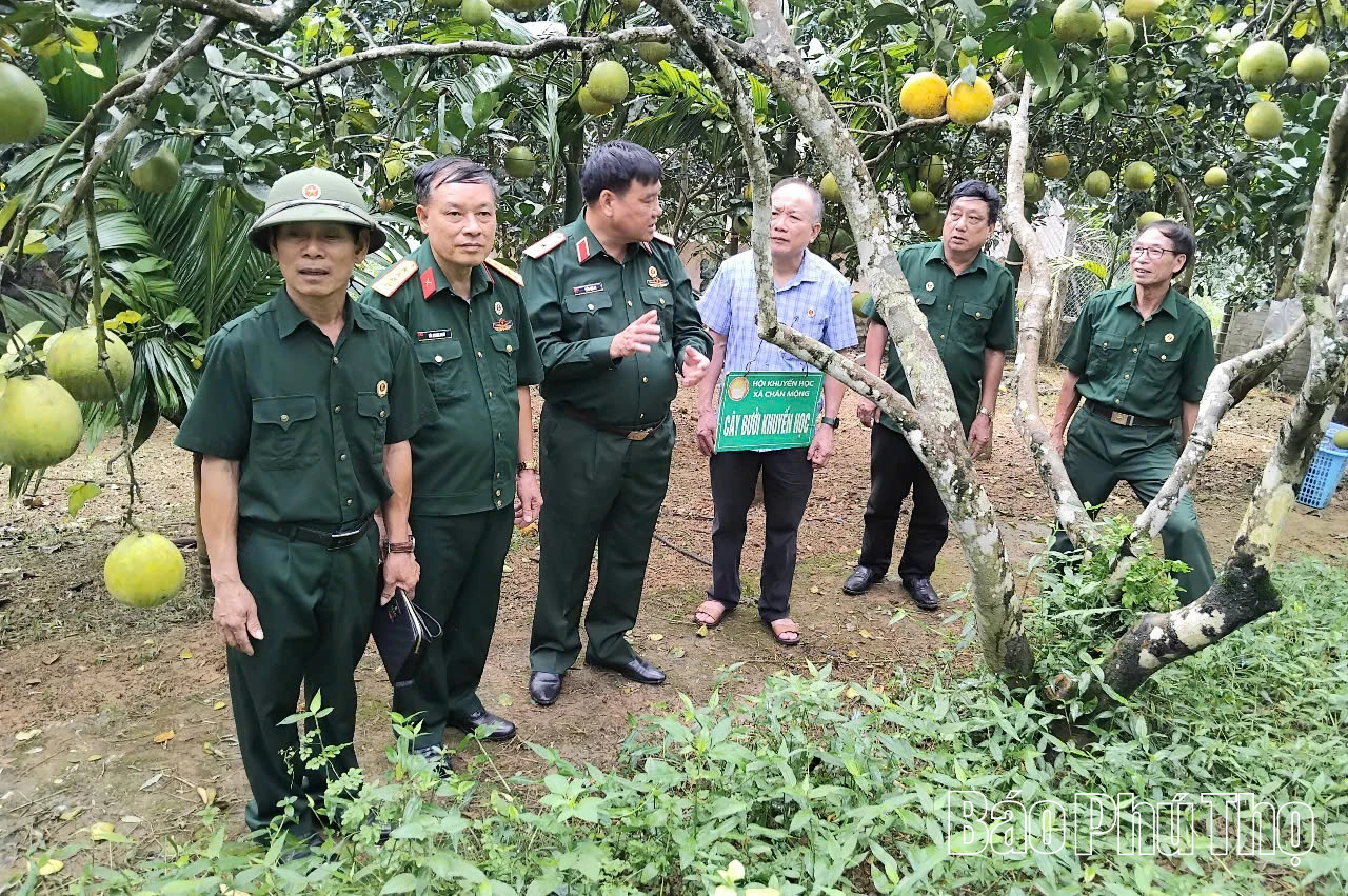Hội Cựu chiến binh tỉnh: Điểm tựa vững chắc, chăm lo đời sống hội viên