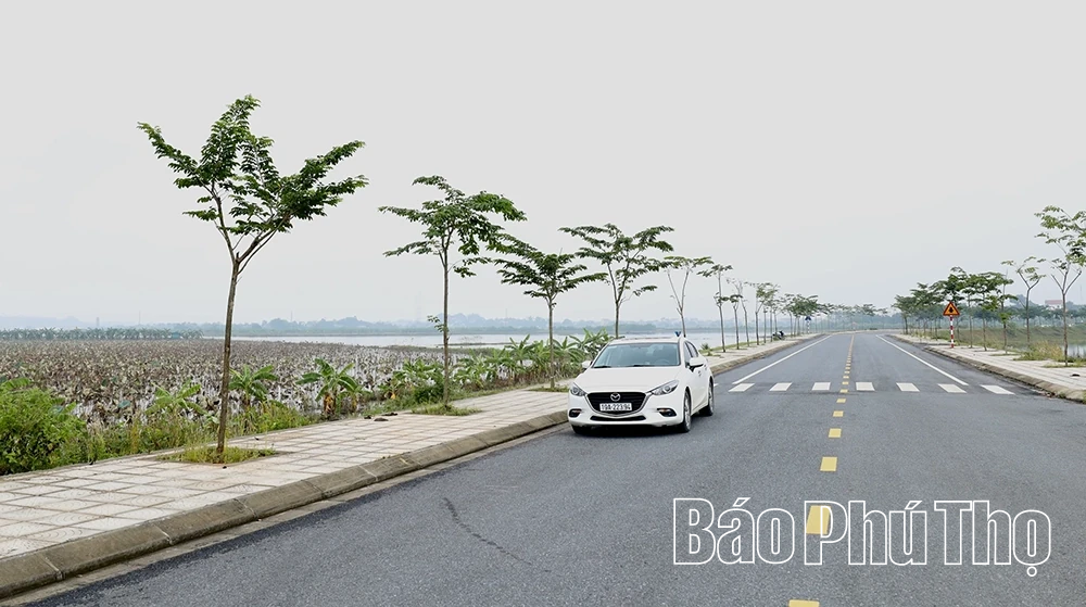 Xã Thọ Văn - vùng đất nhiều tiềm năng phát triển kinh tế