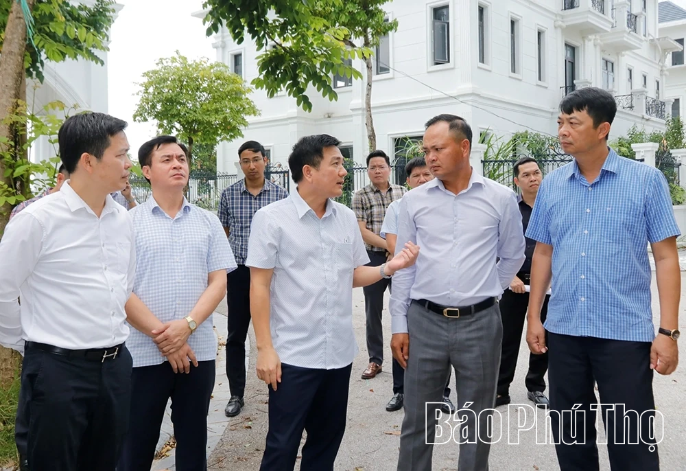 Kiểm tra, tháo gỡ khó khăn các dự án trên địa bàn 3 phường Kỳ Sơn, Hòa Bình, Thống Nhất