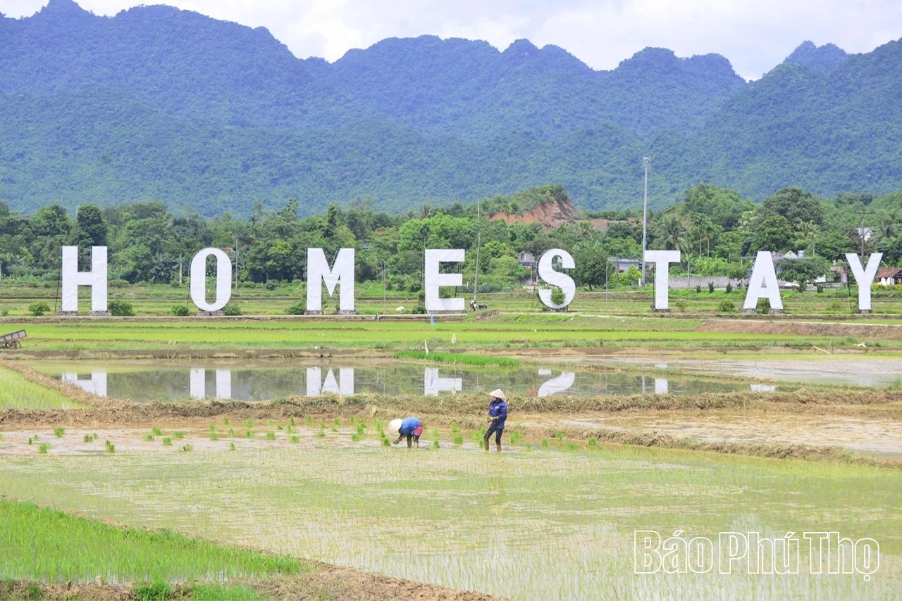 Yên Trị - phong trào thi đua hướng tới thực chất và hiệu quả