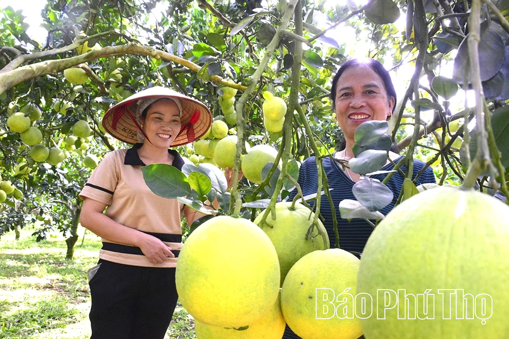 Yên Trị - phong trào thi đua hướng tới thực chất và hiệu quả