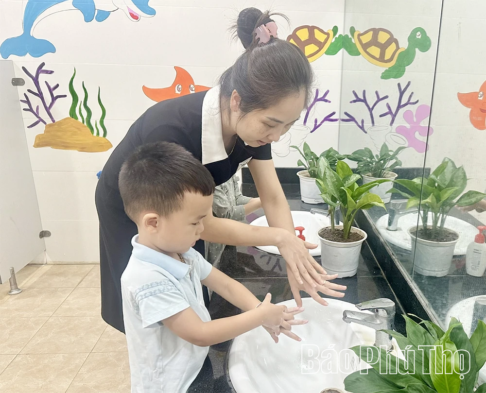 Chủ động triển khai các biện pháp phòng, chống bệnh tả