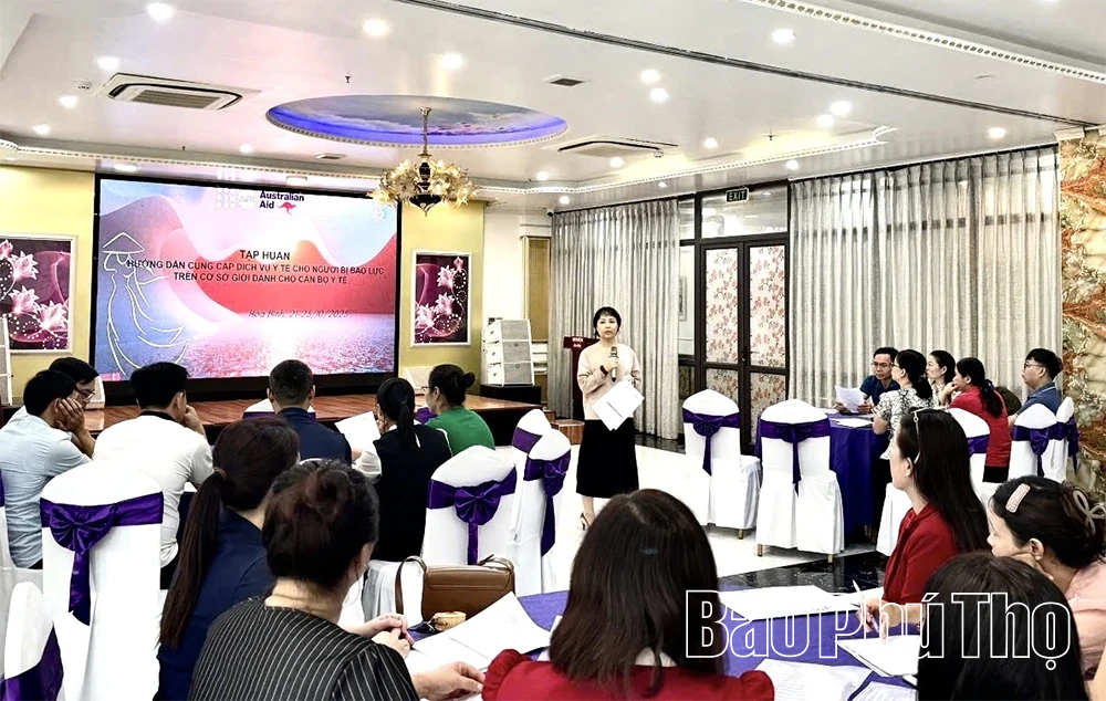 Tập huấn cung cấp dịch vụ y tế hỗ trợ người bị bạo lực trên cơ sở giới