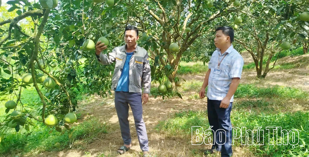 Chuỗi giá trị nông sản - thực phẩm vì phát triển nông nghiệp bền vững