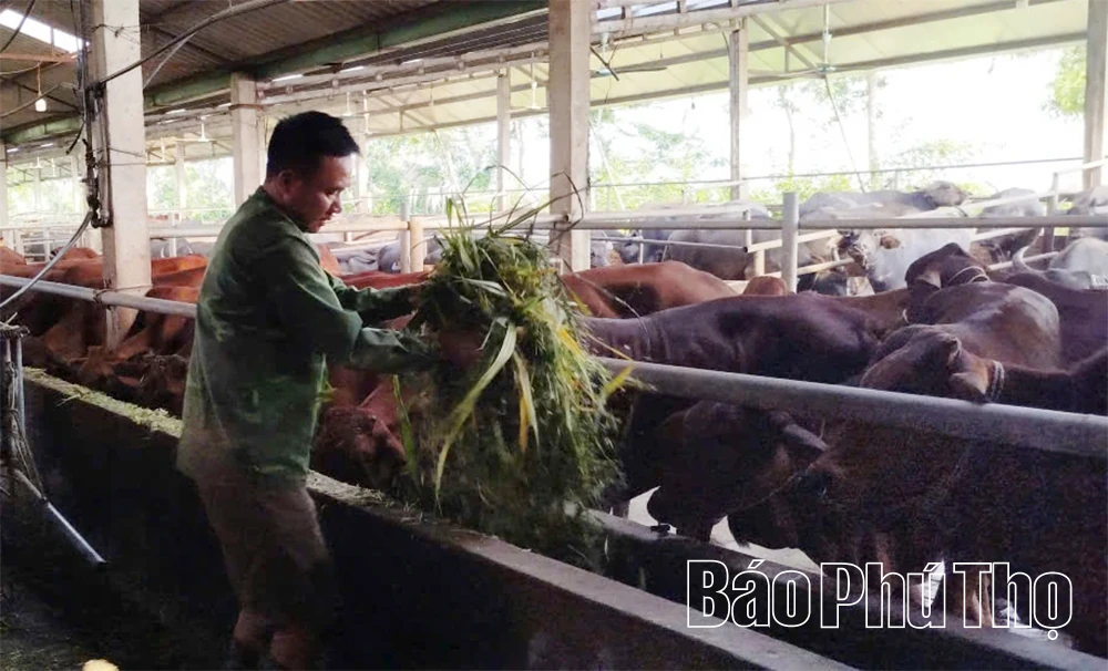 Chuỗi giá trị nông sản - thực phẩm vì phát triển nông nghiệp bền vững