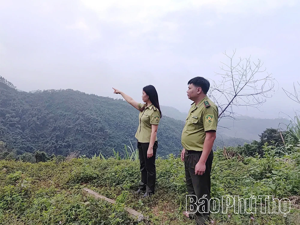 Gìn giữ “lá phổi xanh”