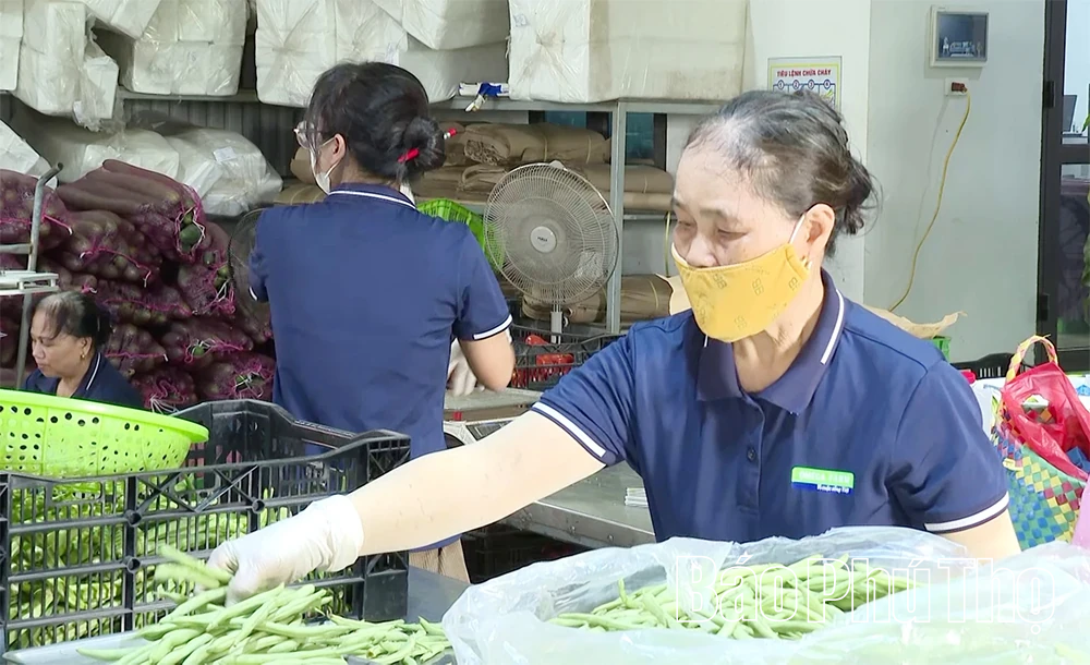 Phát triển nông nghiệp hữu cơ, tăng giá trị sản phẩm