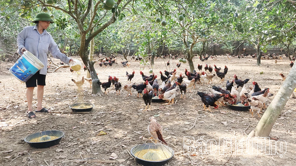 Mường Động tăng tốc để phát triển