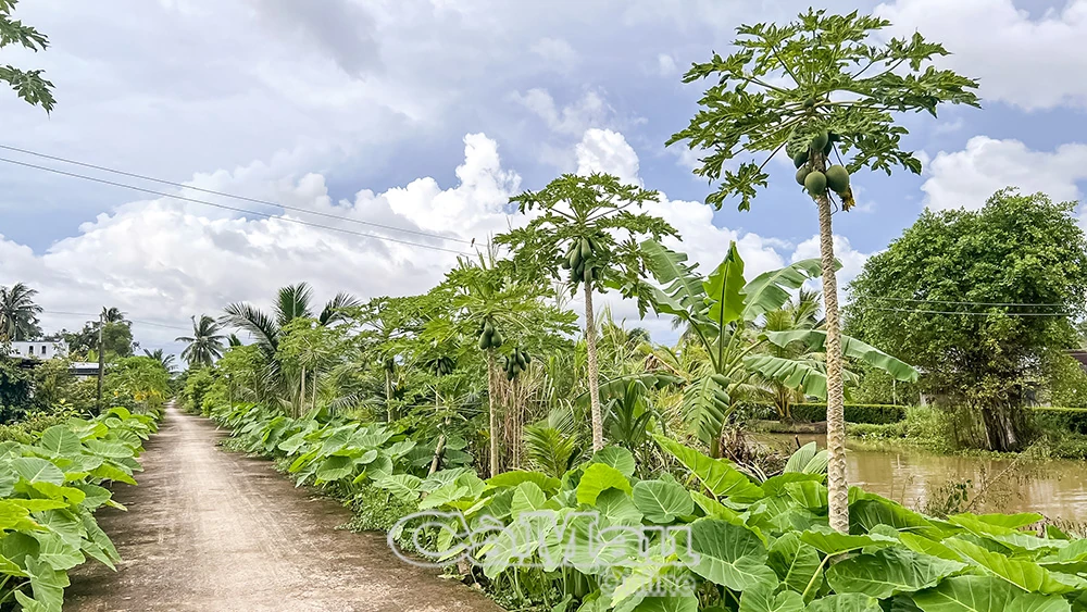 Làm giàu từ nông nghiệp hiện đại