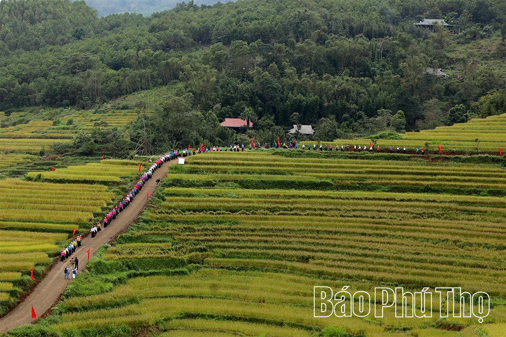 Miền Đồi thơ mộng