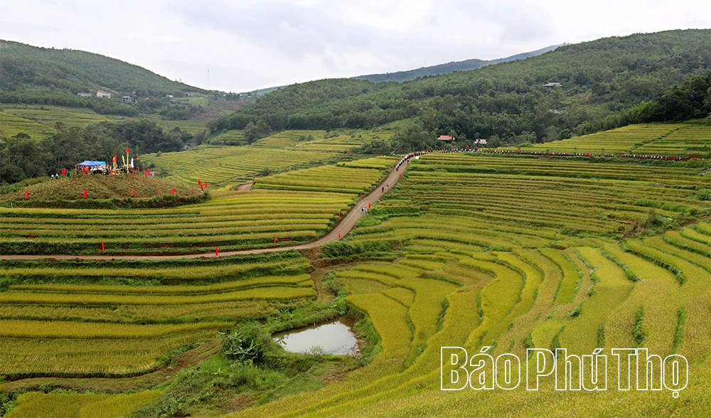 Miền Đồi thơ mộng