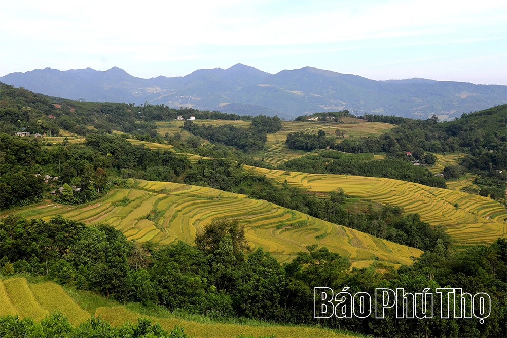 Miền Đồi thơ mộng