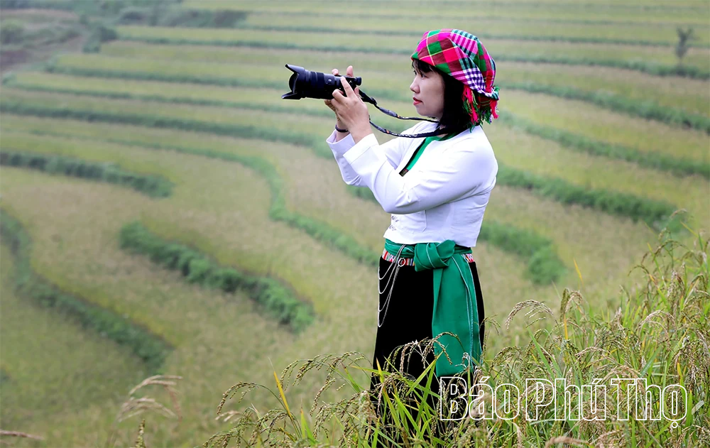 Miền Đồi thơ mộng