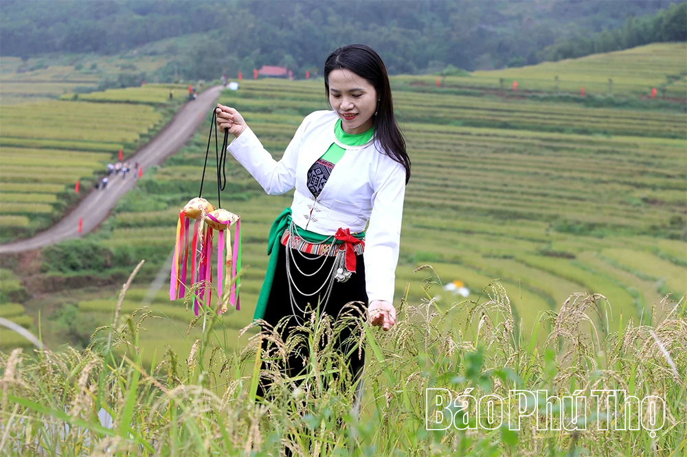 Miền Đồi thơ mộng