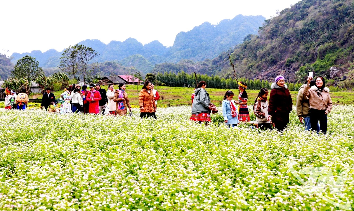 Khai thác tiềm năng du lịch xanh