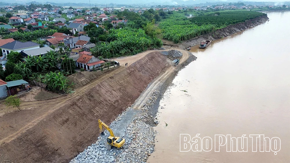 Cấp bách “cứu” các điểm sạt lở bờ, vở sông Hồng