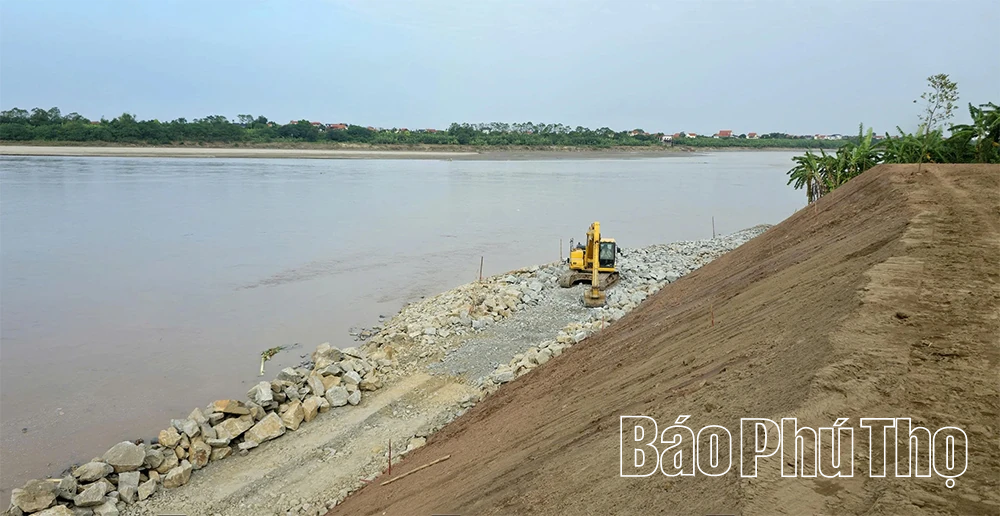 Cấp bách “cứu” các điểm sạt lở bờ, vở sông Hồng