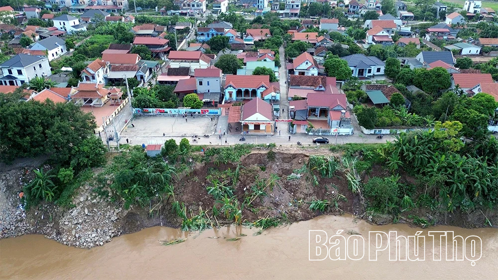 Cấp bách “cứu” các điểm sạt lở bờ, vở sông Hồng