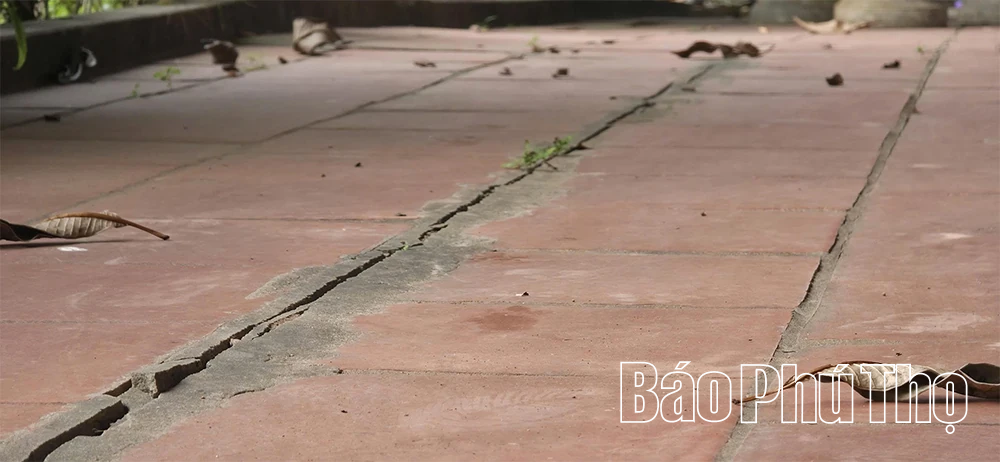 Cấp bách “cứu” các điểm sạt lở bờ, vở sông Hồng
