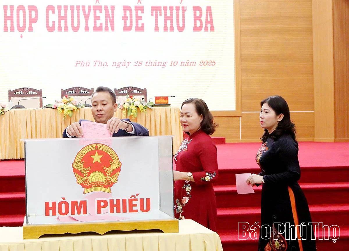Khai mạc Kỳ họp chuyên đề thứ Ba, HĐND tỉnh khóa XIX