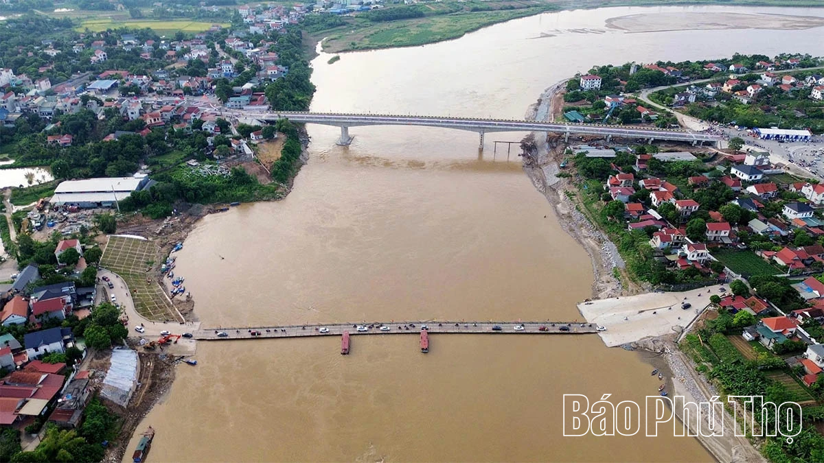 Cây cầu lòng tin