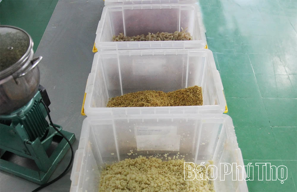 Xây dựng thương hiệu sản phẩm OCOP thịt chua Friend Foods