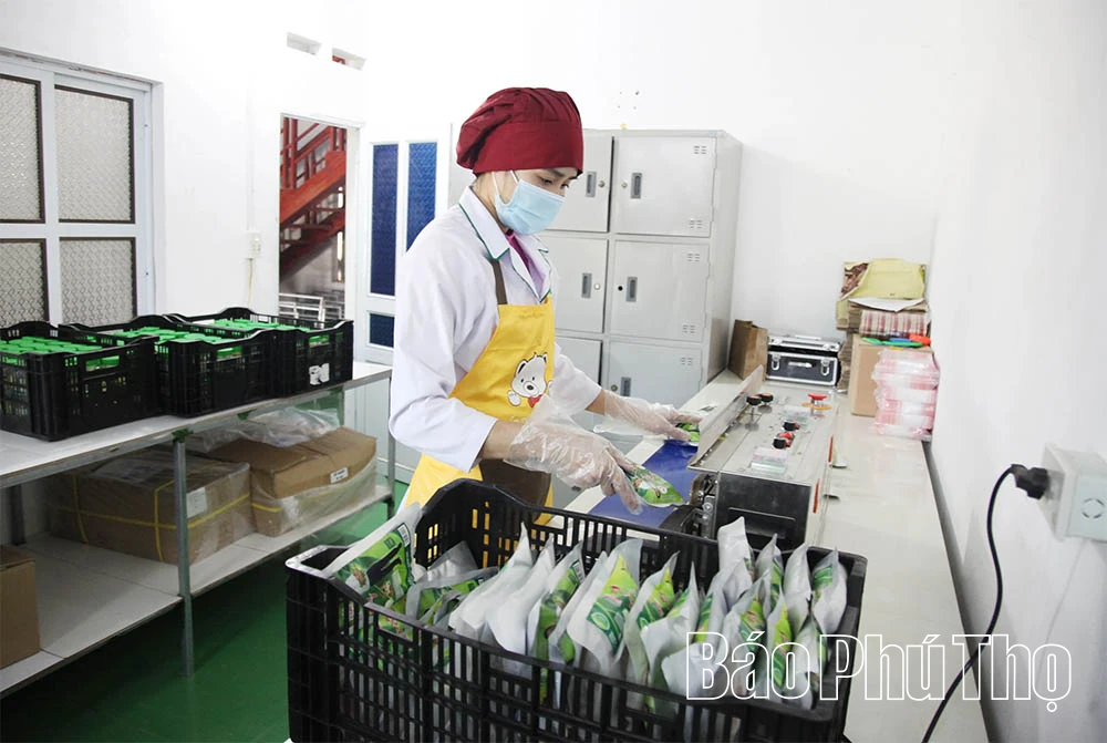 Xây dựng thương hiệu sản phẩm OCOP thịt chua Friend Foods