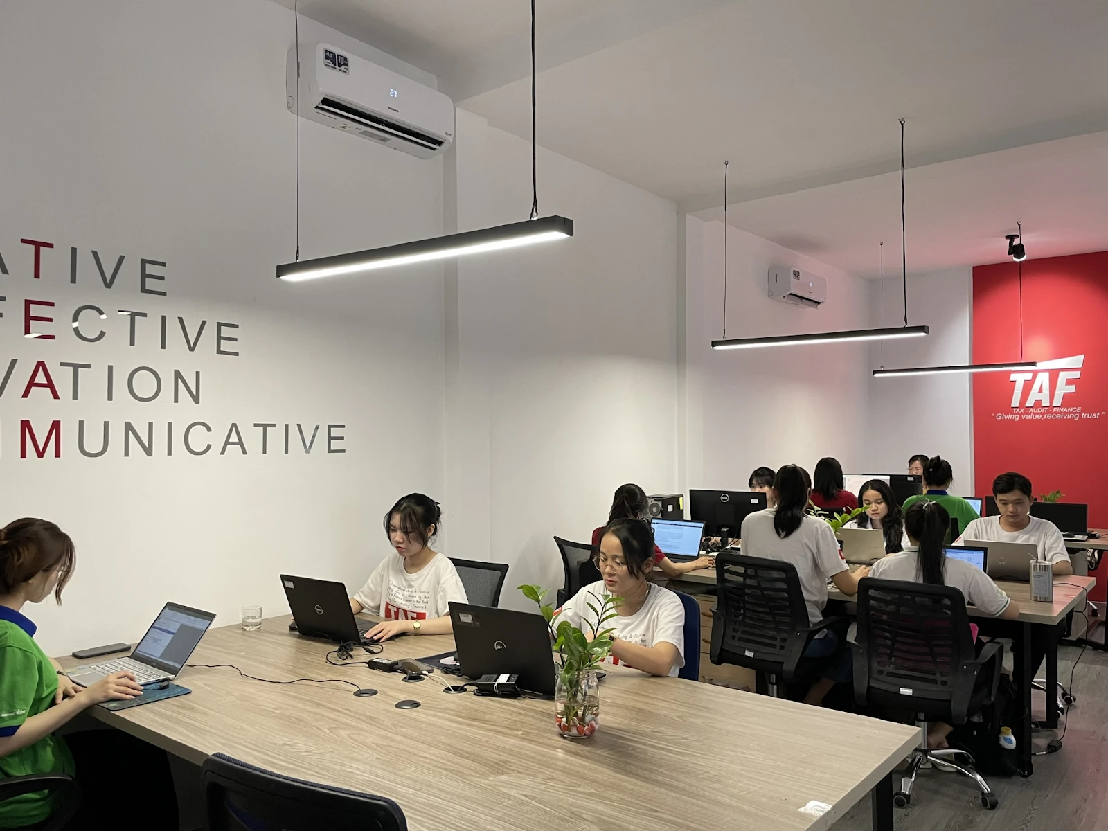 Hành Trình Xây Dựng Thương Hiệu Vững Mạnh của TAF: Nâng Tầm Giá Trị, Lan Tỏa Niềm Tin