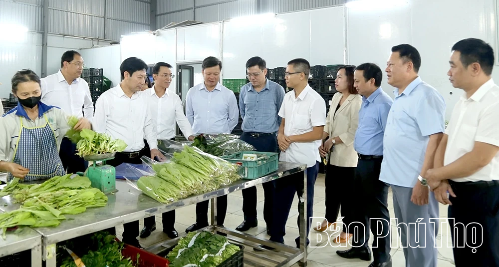 Kiểm tra công tác Hội và phong trào nông dân năm 2025 tại xã Phùng Nguyên