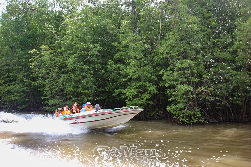 Du lịch Cà Mau tăng sức hút