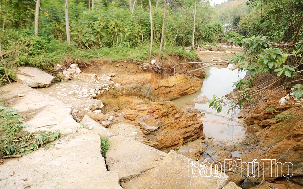 Phó Chủ tịch UBND tỉnh Đinh Công Sứ kiểm tra công tác khắc phục hậu quả thiên tai tại các xã Thanh Thủy, Thanh Sơn