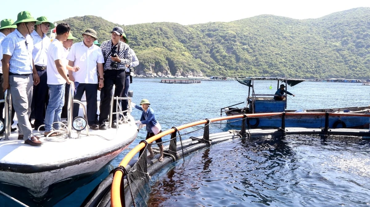 Nuôi biển công nghệ cao: Khai mở tiềm năng, vượt thách thức