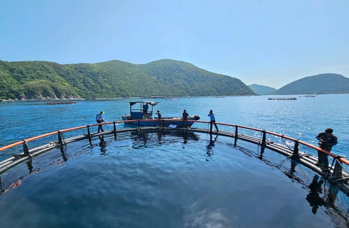 Nuôi biển công nghệ cao: Khai mở tiềm năng, vượt thách thức