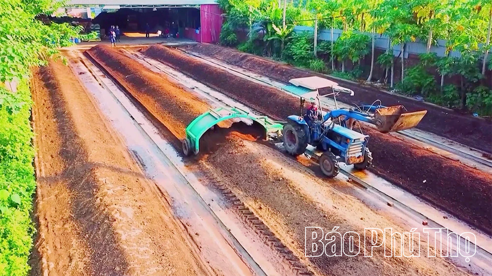 Phụ nữ trong xã hội hiện đại