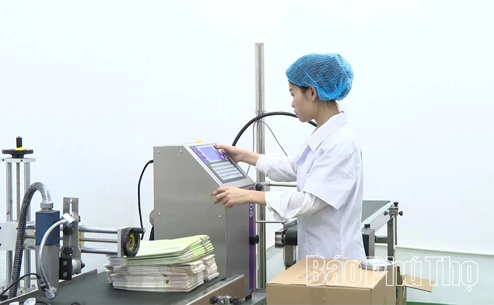 Phụ nữ trong xã hội hiện đại