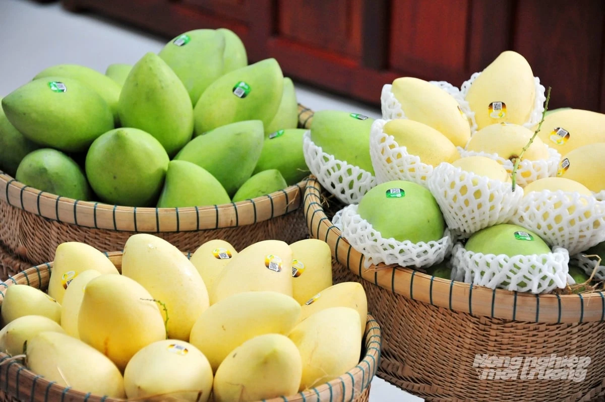 Đồng Tháp xây dựng hệ sinh thái nông nghiệp hiện đại