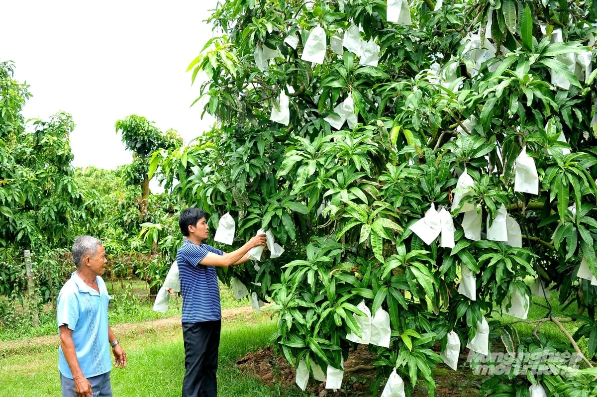 Đồng Tháp xây dựng hệ sinh thái nông nghiệp hiện đại