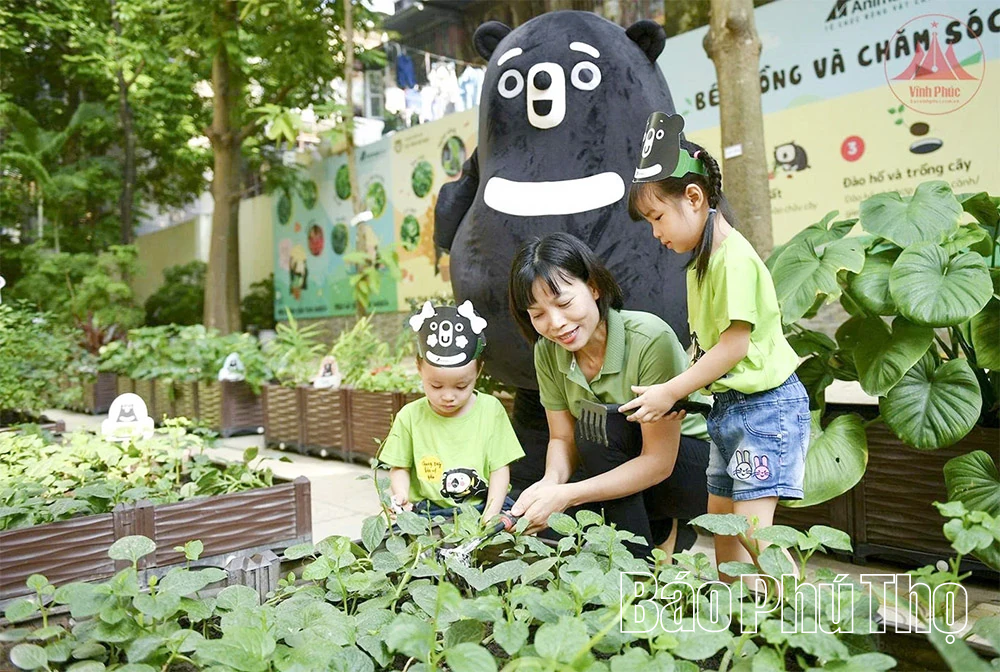 Hành trình hồi sinh các cá thể Gấu tại Tam Đảo