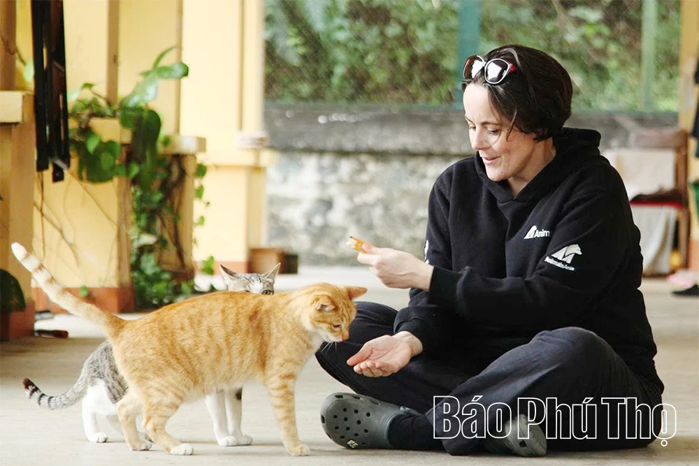 Hành trình hồi sinh các cá thể Gấu tại Tam Đảo