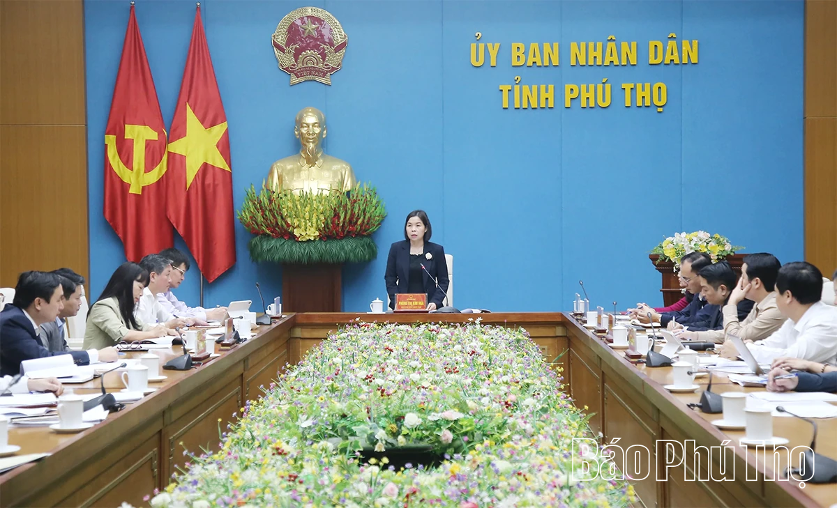 Phó Chủ tịch UBND tỉnh Phùng Thị Kim Nga nghe báo cáo một số nội dung trong lĩnh vực Văn hóa, Thể thao, Du lịch