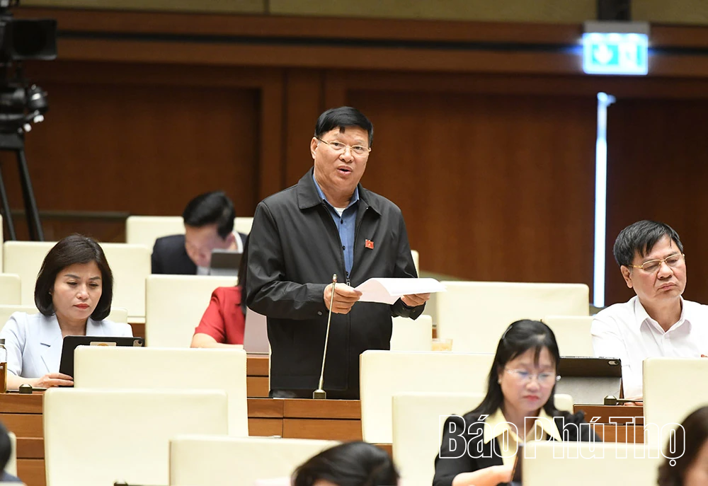 ĐBQH Phú Thọ đề nghị giữ nguyên thẩm quyền kháng nghị của Viện kiểm sát trong Luật Phá sản