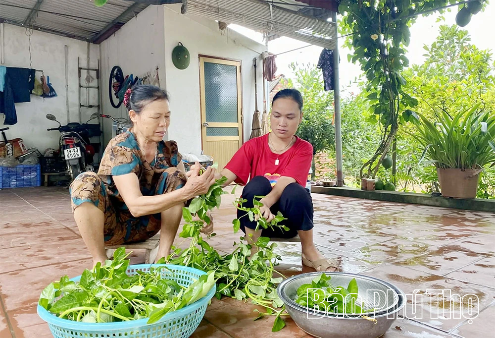 Xoa dịu, sẻ chia với nỗi đau da cam
