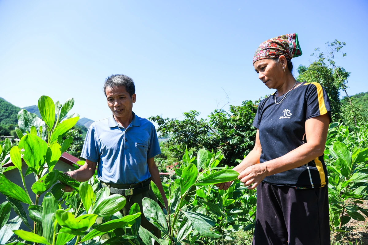 Trăn trở, vượt khó ở Lạc Lương