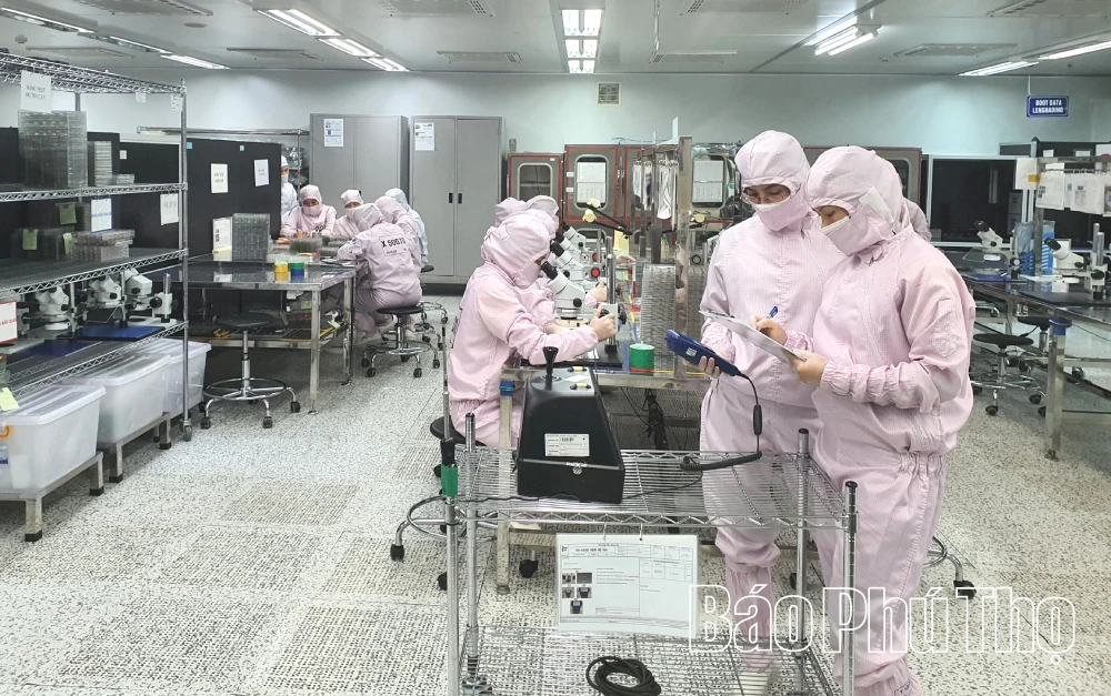 Doanh nghiệp chủ động hội nhập quốc tế, tham gia chuỗi giá trị toàn cầu