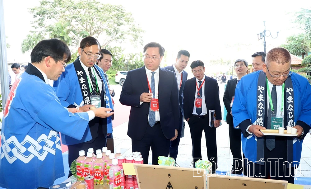 Chủ tịch UBND tỉnh Trần Duy Đông tiếp, làm việc với lãnh đạo tỉnh Yamanashi (Nhật Bản)