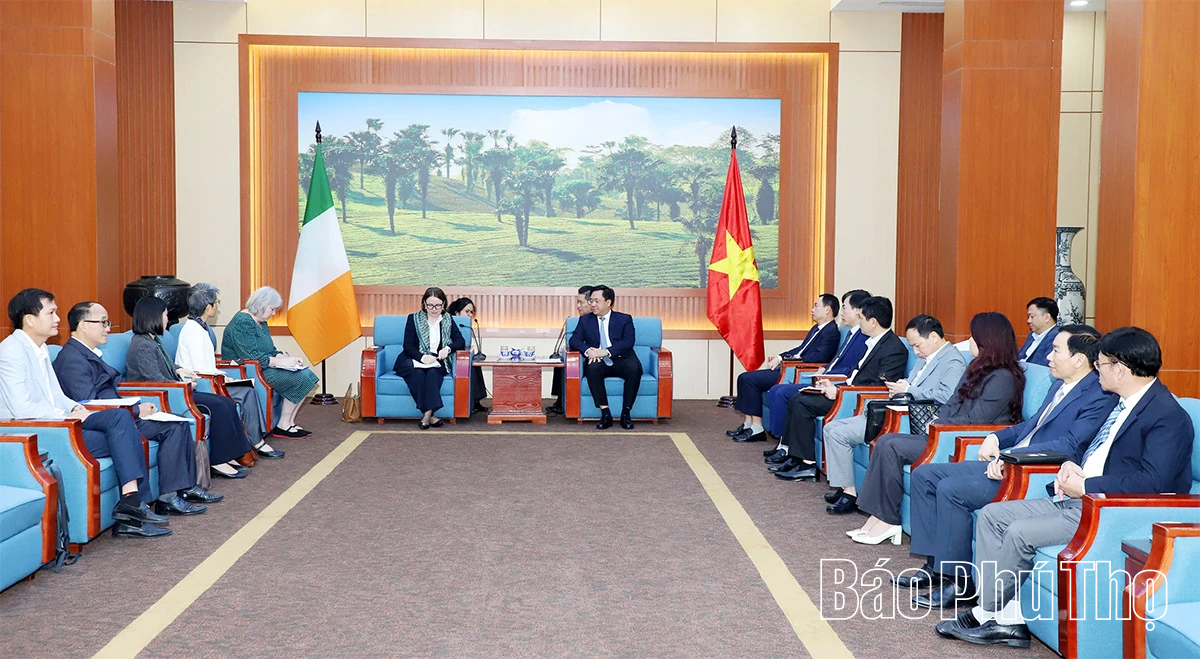 Chủ tịch UBND tỉnh Trần Duy Đông tiếp xã giao Đại sứ Ireland tại Việt Nam