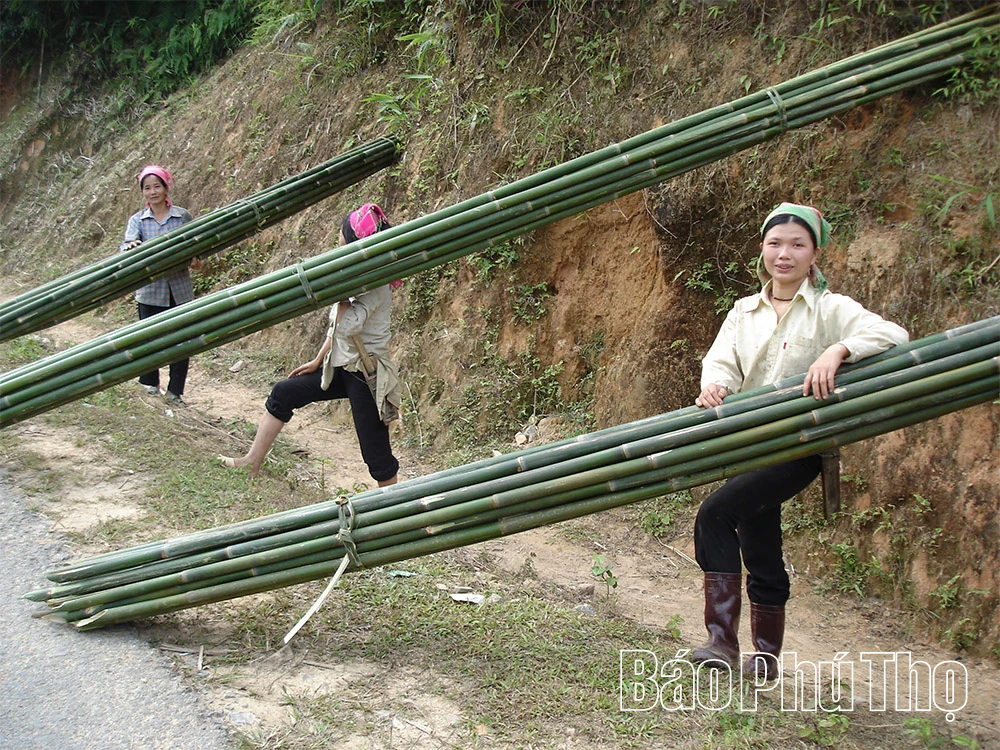 Tân Pheo nỗ lực vượt khó