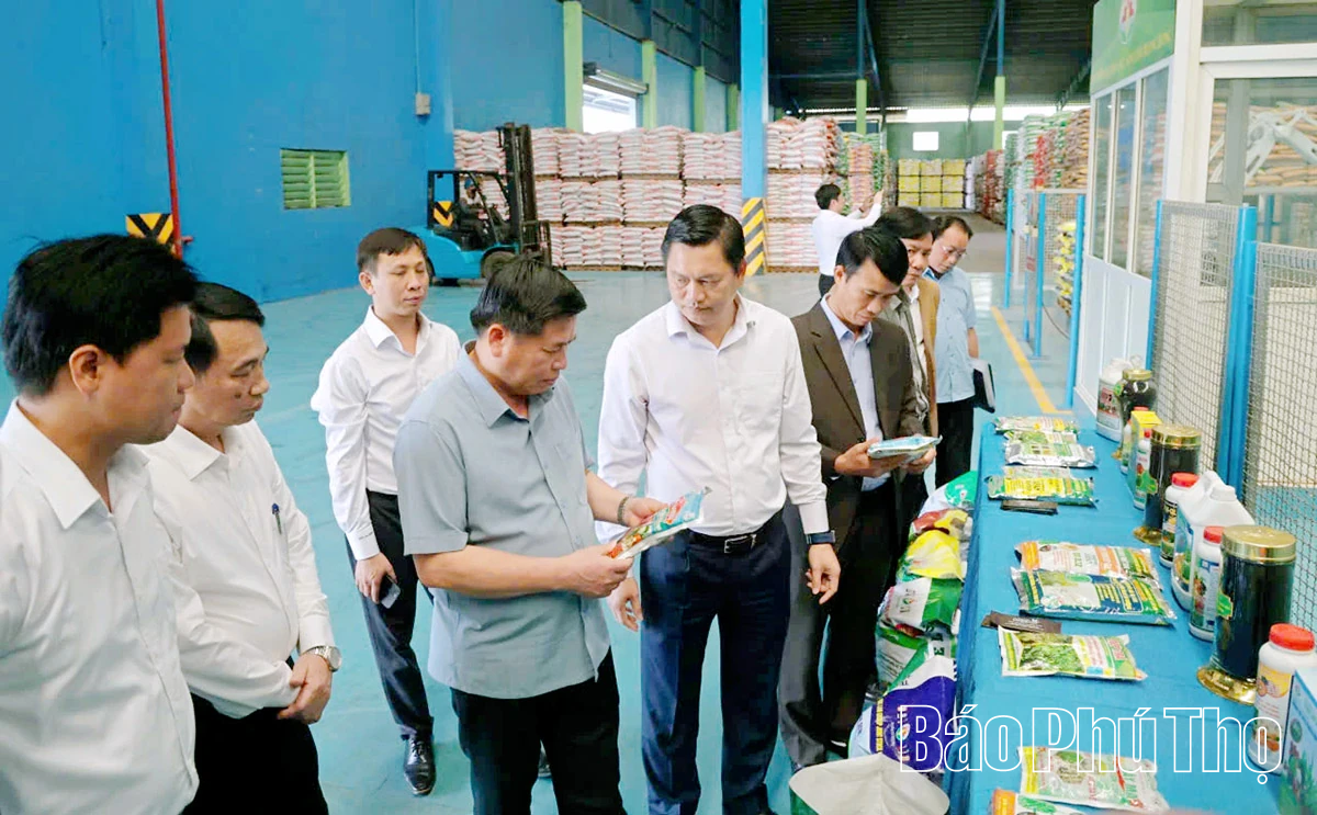 Đẩy mạnh sản xuất nông nghiệp tuần hoàn, nông nghiệp hữu cơ